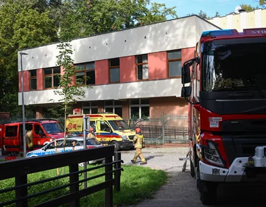 Miniatura: 13-latek planował rzeź w szkole. Sąd...