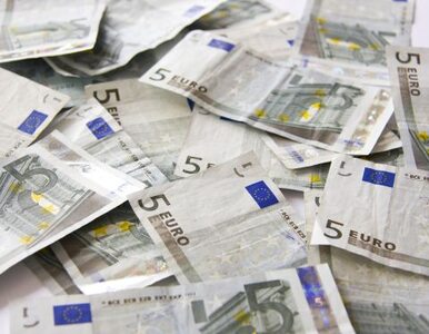 Miniatura: Polacy zapłacą za długi strefy euro?