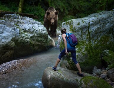 Miniatura: Koszmar w słynnym parku narodowym....