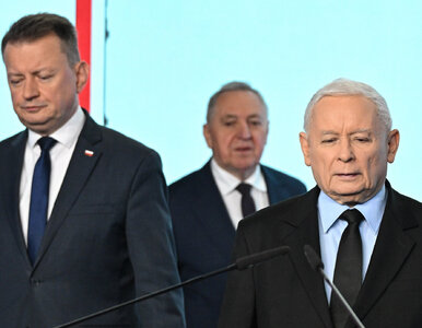 Miniatura: Potężna awantura w PiS. Kaczyński nie miał...
