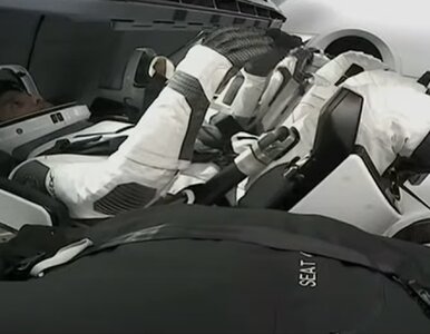 Miniatura: Polak wrócił z kosmosu! Tak Dragon walczył...
