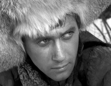 Miniatura: Oni łamali serca kobiet. Poznasz aktorów...