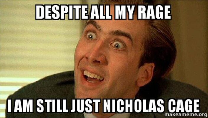 Miniatura: Nicolas Cage bohaterem memów. Aktor za...
