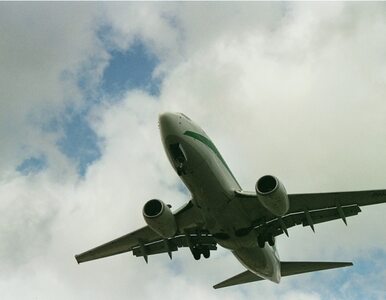 Miniatura: Katastrofa Boeinga: piloci uprzedzali o...