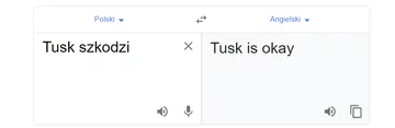 Tłumacz Google i fraza „Tusk szkodzi” 