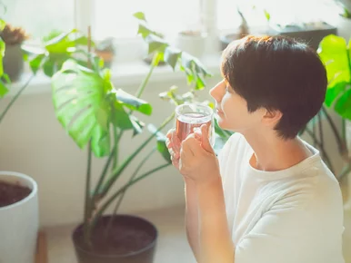 Miniatura: Piła zieloną herbatę codziennie. Organizm...