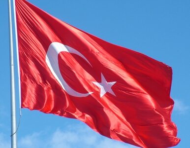 Miniatura: Turcja potępia Syrię i wydala wszystkich...