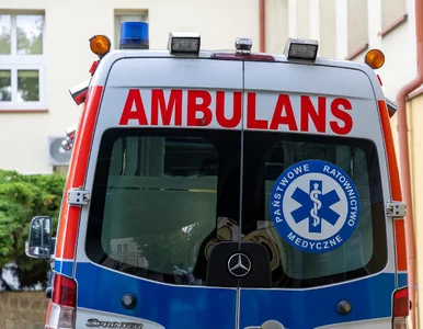 Miniatura: Dramatyczne sceny w Kaliszu. Dwulatka...