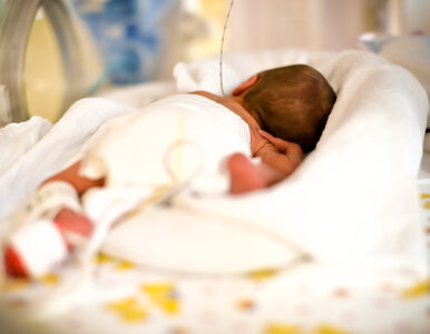 Miniatura: Kobieta urodziła dwa miesiące po śmierci