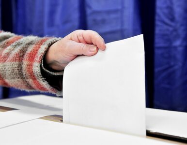 Miniatura: Wybory Parlamentarne: Jak zagłosować za...