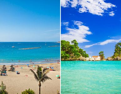 Miniatura: To idealny moment na rezerwację letnich...