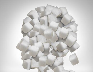 Miniatura: Jak na mózg wpływa cukier i sztuczne...