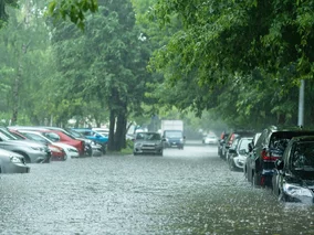 Miniatura: Zalało uwielbiany kierunek Polaków. Poziom...