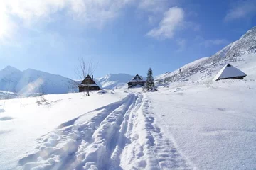 8. Hala Gąsienicowa (fot. Wanda Modzelewska)