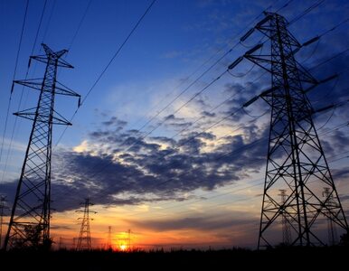 Miniatura: Od stycznia wzrosną ceny prądu