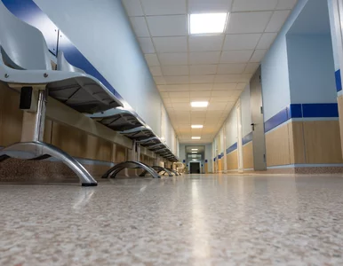 Miniatura: Kongo. Kandydat na prezydenta zmarł dzień...