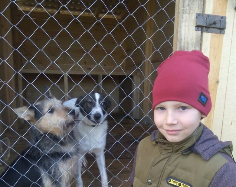 Miniatura: 9-latek maluje zwierzęta. Obrazy wymienia...