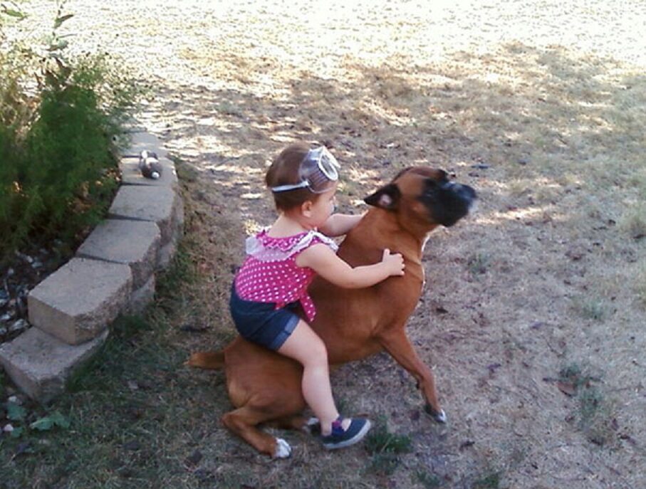 Pies zostawiony sam na sam z dziećmi 