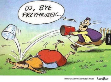 Świąteczne memy 