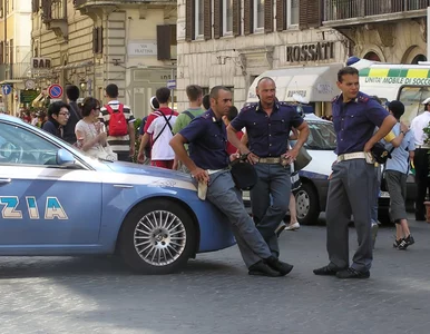 Miniatura: Włoska policja odebrała emerytowi obraz...