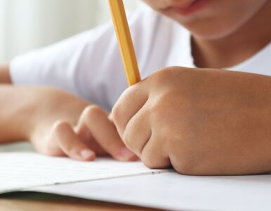 Miniatura: Łatwiutki QUIZ z ortografii. Wstyd pomylić...