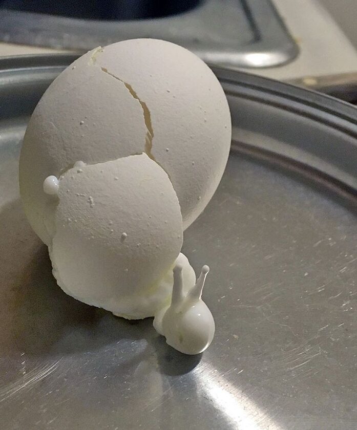 Ślimak, jajko czy forma pośrednia? 