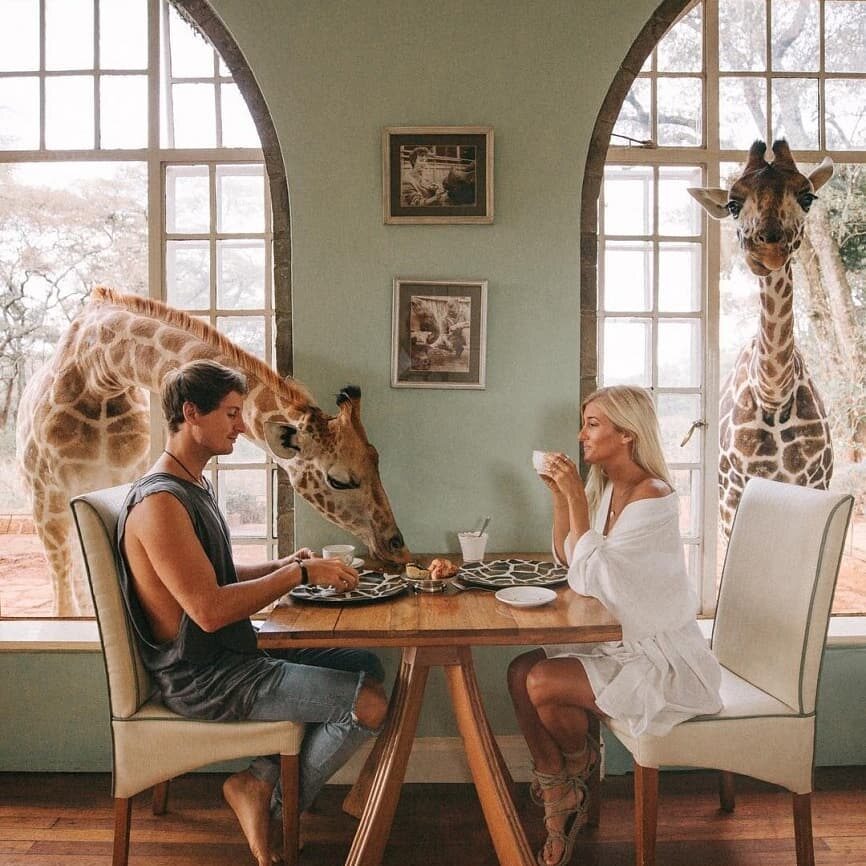 Giraffe Manor, Nairobi, Kenia 
