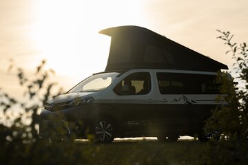 Toyota Proace Verso Tanuki