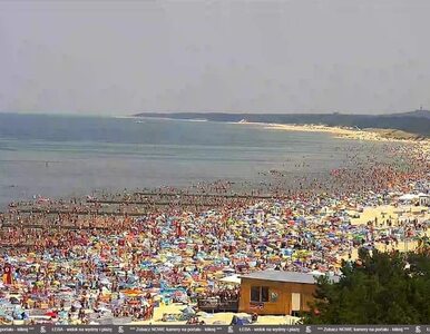 Miniatura: Tłumy na plaży w Łebie. „Parawaning”...