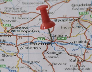 Miniatura: QUIZ. Polskie miasta na literę „P”. Ile o...