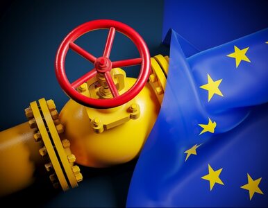 Miniatura: Komisja Europejska apeluje ws. dostaw gazu...