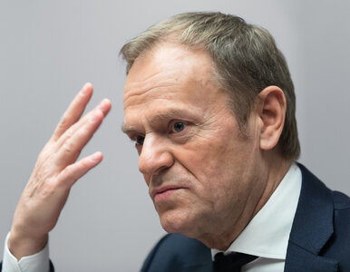 Miniatura: Koszmarny sondaż dla Donalda Tuska. Tak...