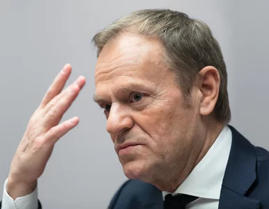 Miniatura: Koszmarny sondaż dla Donalda Tuska. Tak...
