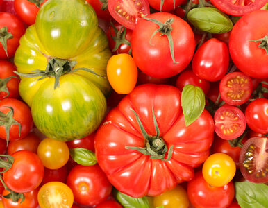 Miniatura: Produkty bogate w żelazo i pomidory –...