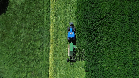 Miniatura: Konoplit – naturalny materiał budowlany,...