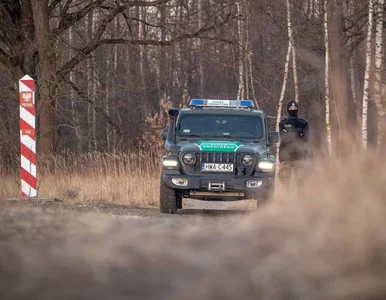 Miniatura: Niespokojna doba przy granicy...