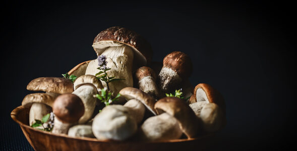 Miniatura: Quiz dla znawców grzybów