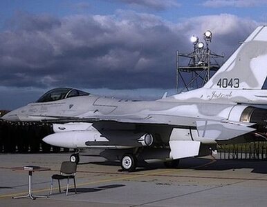 Miniatura: Odnaleziono szczątki F-16. Pilot wciąż...