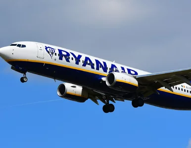 Miniatura: Ryanair szaleje na Black Friday. Takiej...