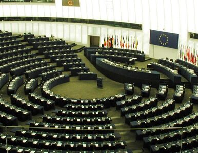 Miniatura: Trwają wybory do Parlamentu Europejskiego....