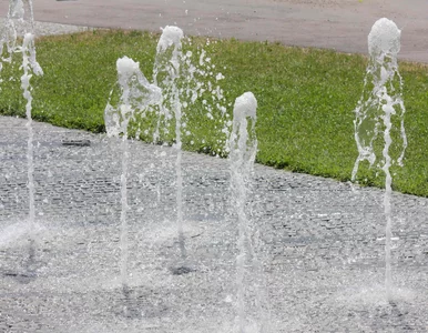 Miniatura: Apel Głównego Inspektoratu Sanitarnego ws....