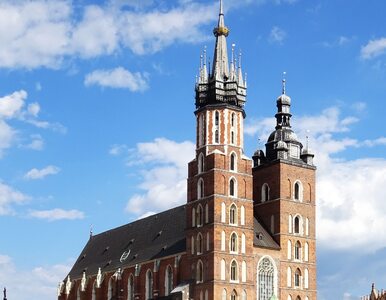 Miniatura: Kościół Mariacki trafił na rajtuzy....