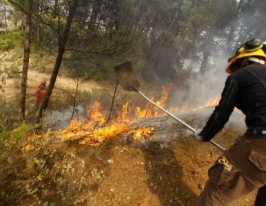 Miniatura: Hiszpanię trawią pożary. Dwóch strażaków...