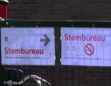 Miniatura: Eurowybory w Holandii: Skrajnie prawicowa...