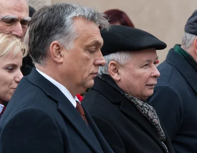 Miniatura: Rewolucja na Węgrzech? Ten ruch...