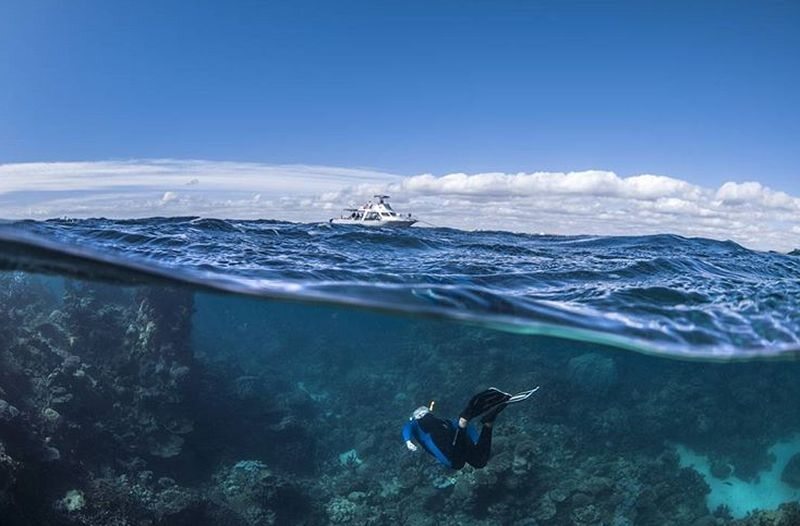 Podwodne zdjęcia z wybrzeży Australii i Nowej Zelandii 