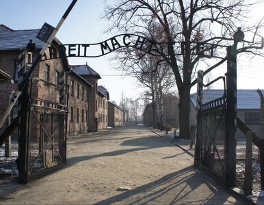 Miniatura: 78. rocznica wyzwolenia Auschwitz. Rosja...