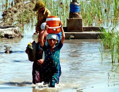 Miniatura: Pakistan: w powodzi zginęło prawie 400 osób