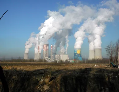 Miniatura: Eksperci ostrzegają. Problemy polskiej...