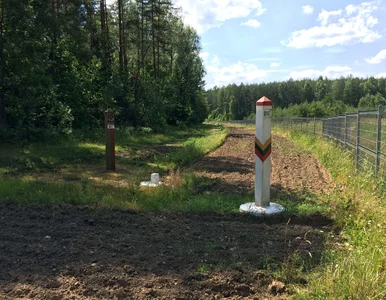 Miniatura: Zanikła presja migracyjna na Litwę....